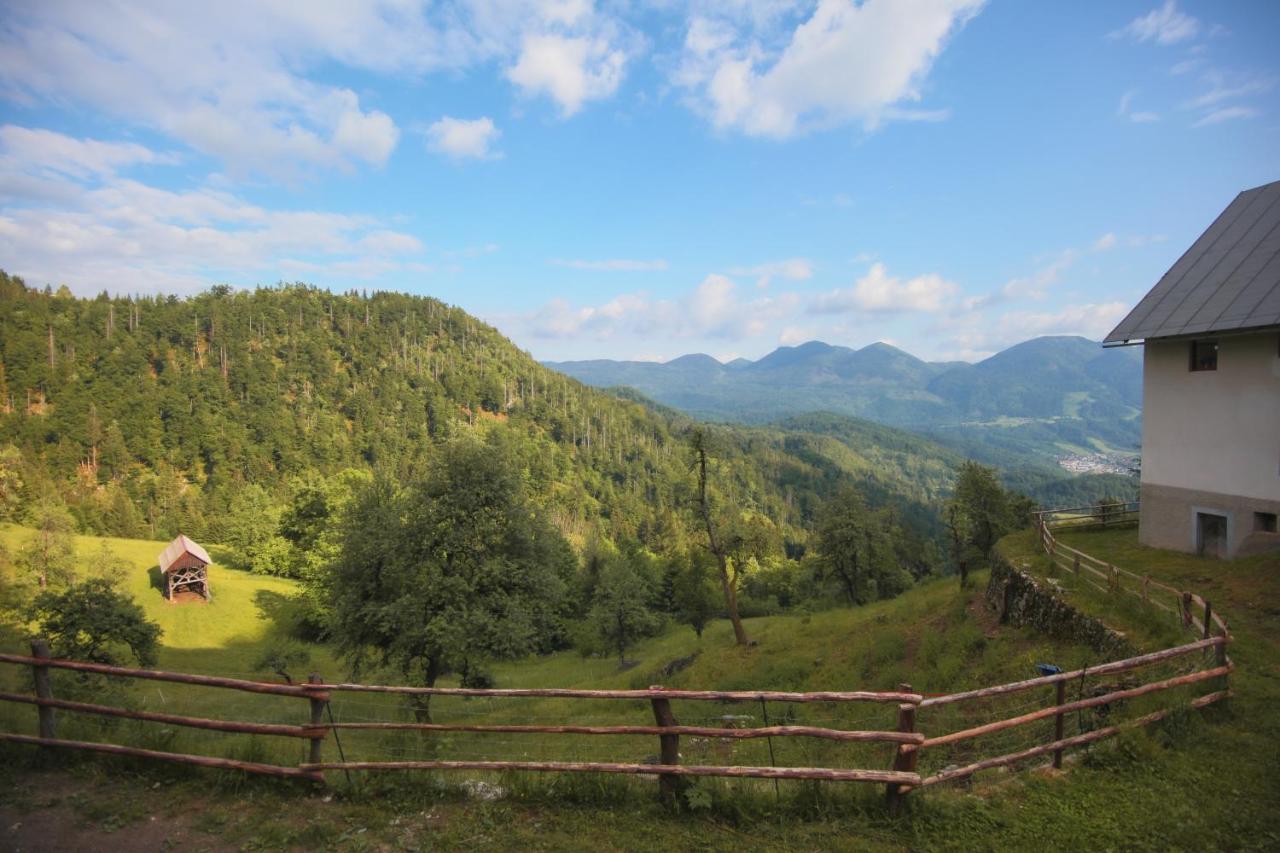 Apartma Gorski Razgled Srednja Vas v Bohinju Zewnętrze zdjęcie