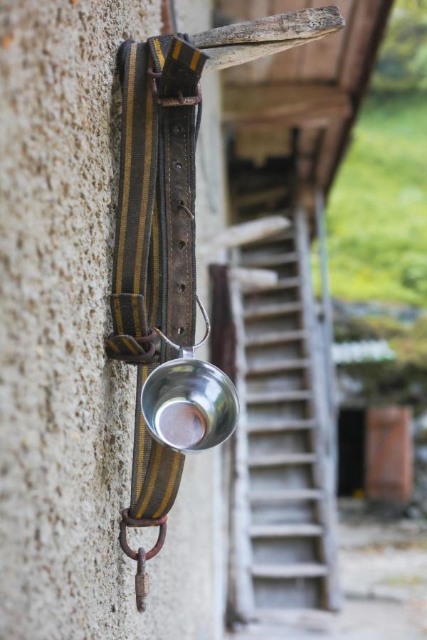 Apartma Gorski Razgled Srednja Vas v Bohinju Zewnętrze zdjęcie