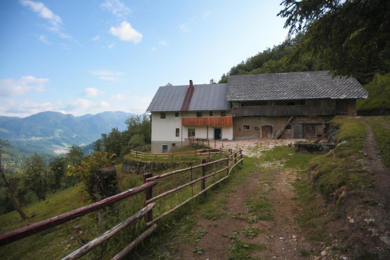 Apartma Gorski Razgled Srednja Vas v Bohinju Zewnętrze zdjęcie