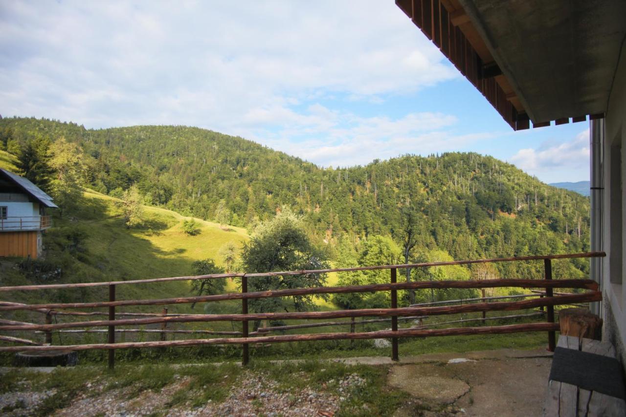 Apartma Gorski Razgled Srednja Vas v Bohinju Zewnętrze zdjęcie